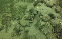 Wyjazd nurkowy nad jezioro Hańcza