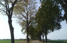 Wyjazd nurkowy nad jezioro Hańcza