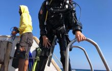 Safaga Listopad 2020