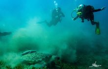 Safaga Listopad 2020