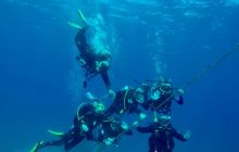 Safaga Listopad 2020