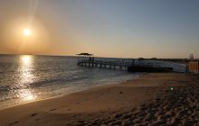 Safaga Listopad 2020