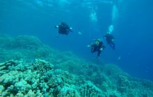 Safaga Listopad 2020