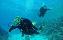 Safaga Listopad 2020