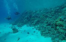 Safaga Listopad 2020