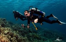 Safaga Listopad 2020