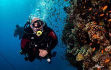 Safaga Listopad 2020