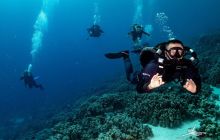 Safaga Listopad 2020