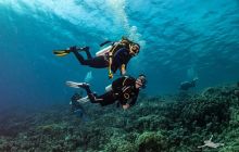 Safaga Listopad 2020