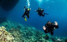 Safaga Listopad 2020