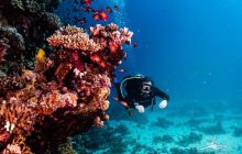 Safaga Listopad 2020