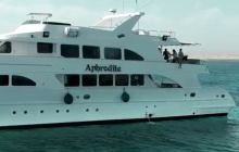 Safari nurkowe - Najpiękniejsze południe Egiptu - Fury Shoals