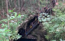 Meksyk Styczeń 2021