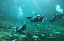 Meksyk Styczeń 2021