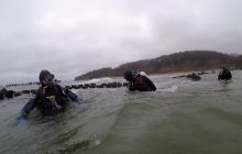 Torpedownia z płetwy