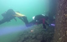 Torpedownia z płetwy