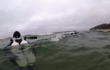 Torpedownia z płetwy