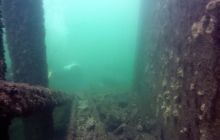 Torpedownia z płetwy