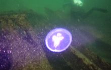 Torpedownia z płetwy