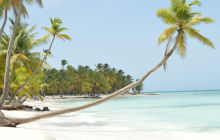 Nurkowanie na Dominikanie