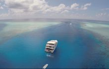 P&oacute;łnocne safari nurkowe Hanifaru - Malediwy