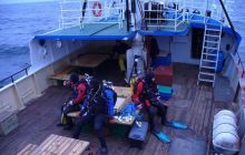 &nbsp;Jan Heweliusz - jednodniowy