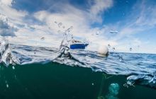 Wraki Szkocji - Eyemouth