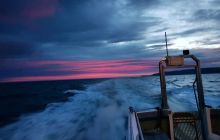 Wraki Szkocji - Eyemouth