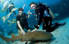 Wyprawa nurkowa do Meksyku i Belize