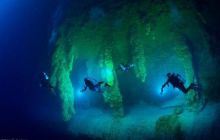 Wyprawa nurkowa do Meksyku i Belize