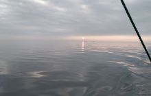 Wyjazd nurkowy na Hewelisza i Bornholm