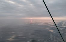 Wyjazd nurkowy na Hewelisza i Bornholm