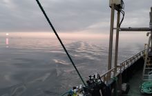 Wyjazd nurkowy na Hewelisza i Bornholm