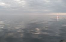 Wyjazd nurkowy na Hewelisza i Bornholm