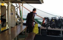 Wyjazd nurkowy na Hewelisza i Bornholm