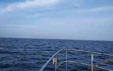 Wyjazd nurkowy na Hewelisza i Bornholm