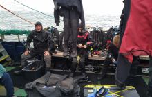 Wyjazd nurkowy na Hewelisza i Bornholm