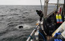 Wyjazd nurkowy na Hewelisza i Bornholm