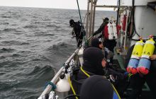 Wyjazd nurkowy na Hewelisza i Bornholm