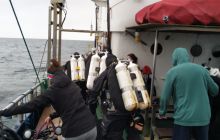 Wyjazd nurkowy na Hewelisza i Bornholm