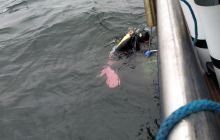 Wyjazd nurkowy na Hewelisza i Bornholm