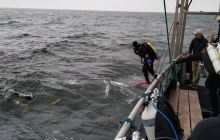 Wyjazd nurkowy na Hewelisza i Bornholm