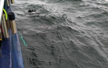 Wyjazd nurkowy na Hewelisza i Bornholm