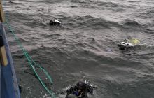 Wyjazd nurkowy na Hewelisza i Bornholm