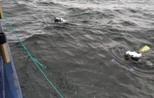 Wyjazd nurkowy na Hewelisza i Bornholm