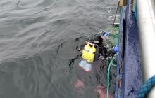 Wyjazd nurkowy na Hewelisza i Bornholm