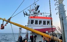 Wyjazd nurkowy na Hewelisza i Bornholm