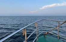 Wyjazd nurkowy na Hewelisza i Bornholm