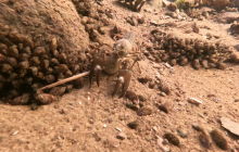 Wyjazd na Hańczę 10.2021