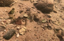 Wyjazd na Hańczę 10.2021